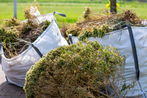 Best Professional Junk Removal  in Cave Junction, OR